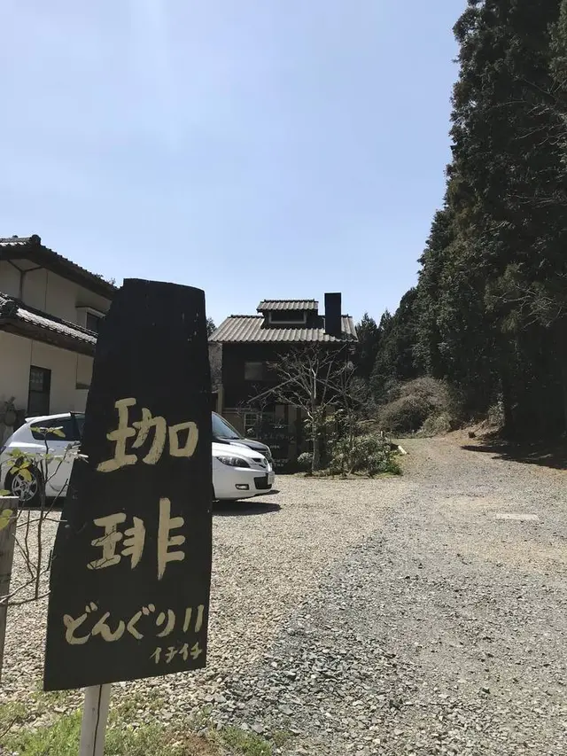 どんぐり11
