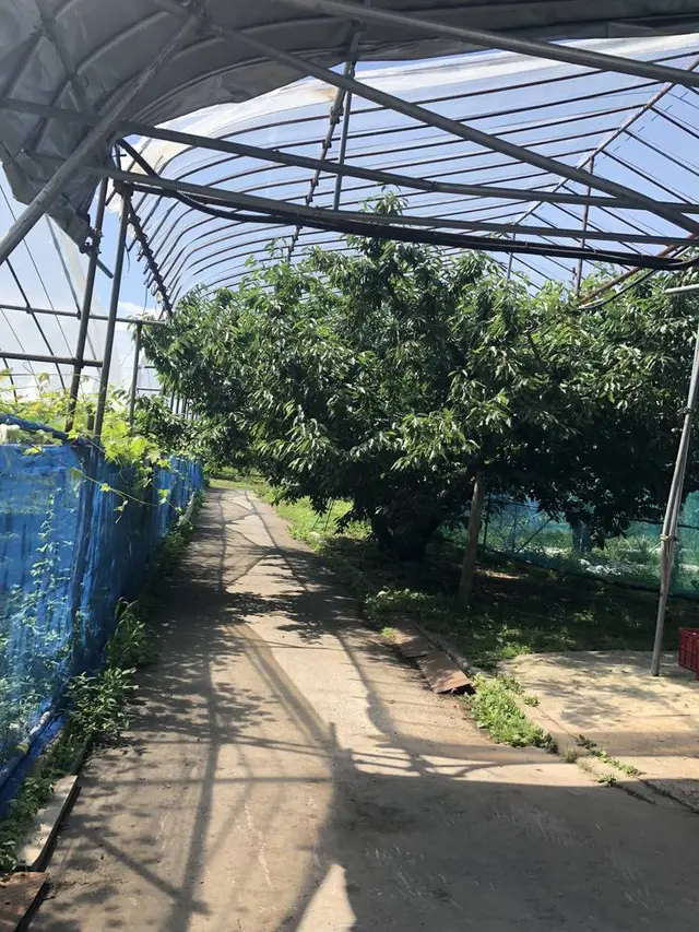 安達農園