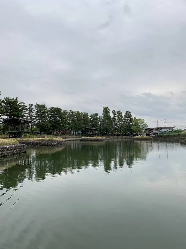 天王川公園の藤