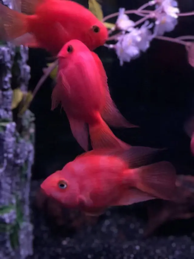 稚内市立ノシャップ寒流水族館