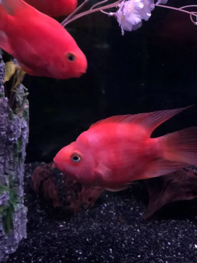 稚内市立ノシャップ寒流水族館