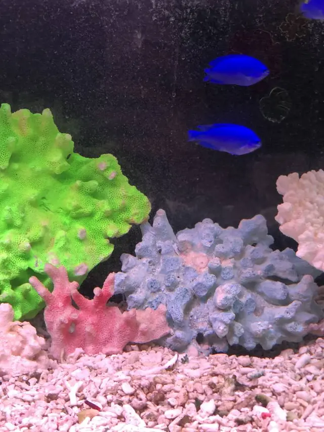 稚内市立ノシャップ寒流水族館
