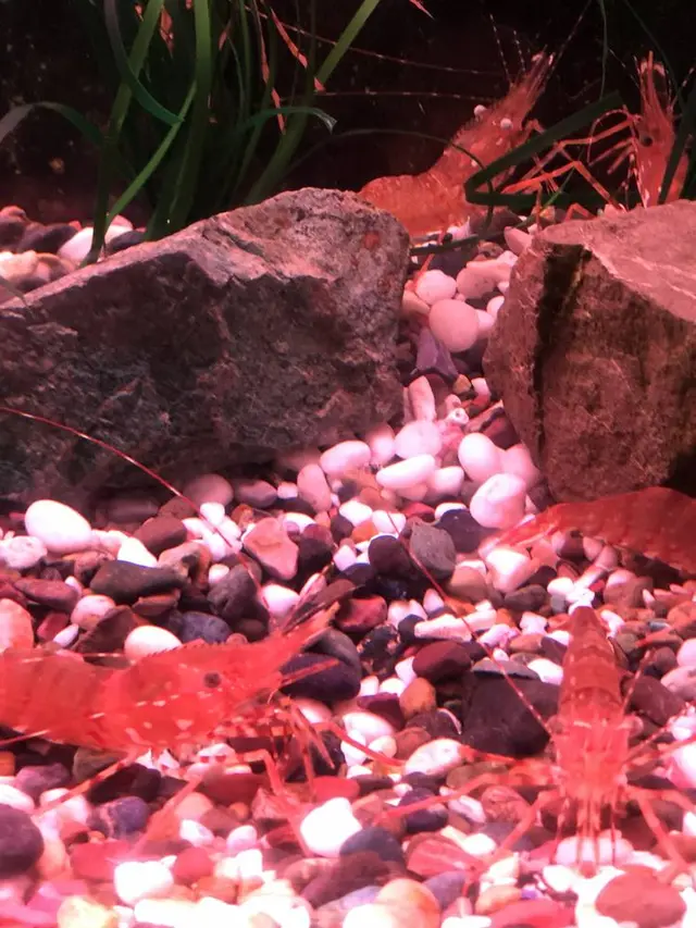 稚内市立ノシャップ寒流水族館