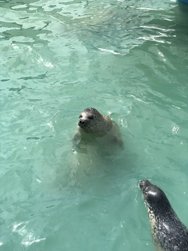 稚内市立ノシャップ寒流水族館