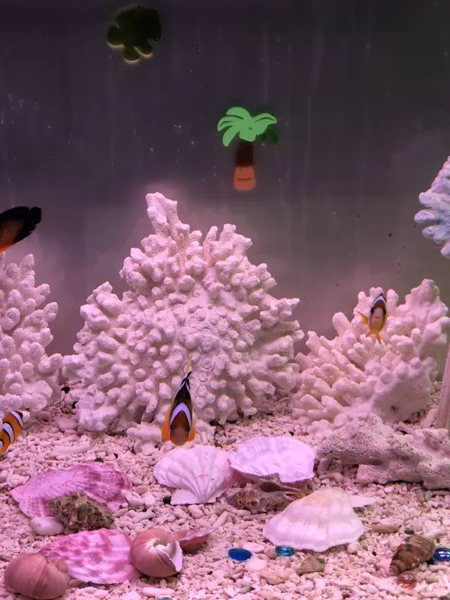 稚内市立ノシャップ寒流水族館