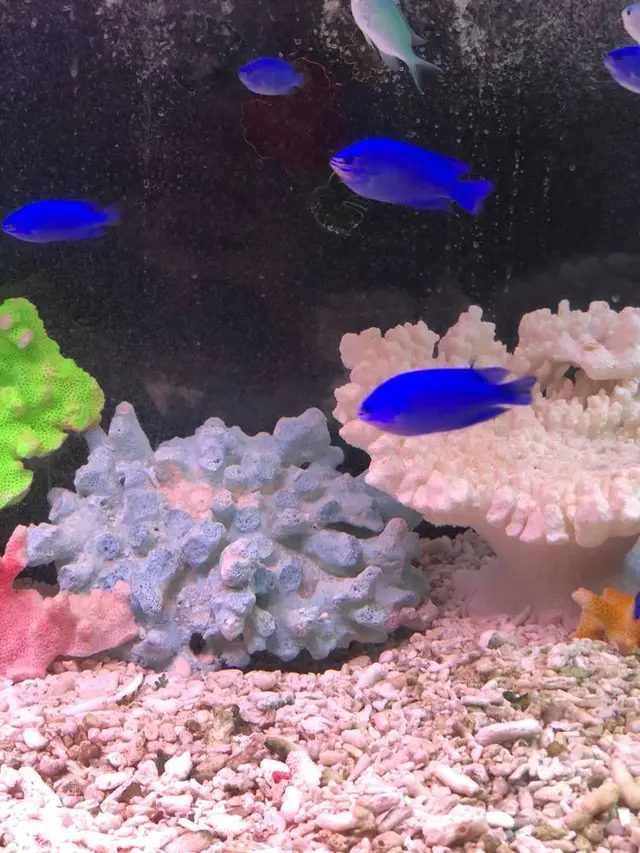 稚内市立ノシャップ寒流水族館
