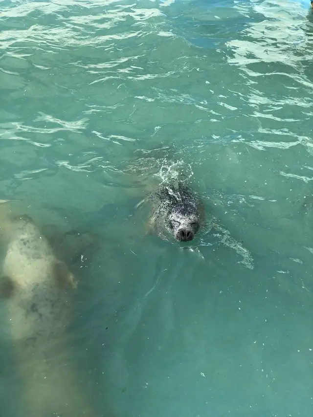 稚内市立ノシャップ寒流水族館