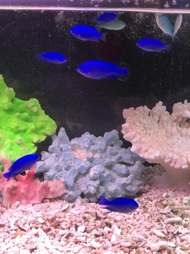 稚内市立ノシャップ寒流水族館