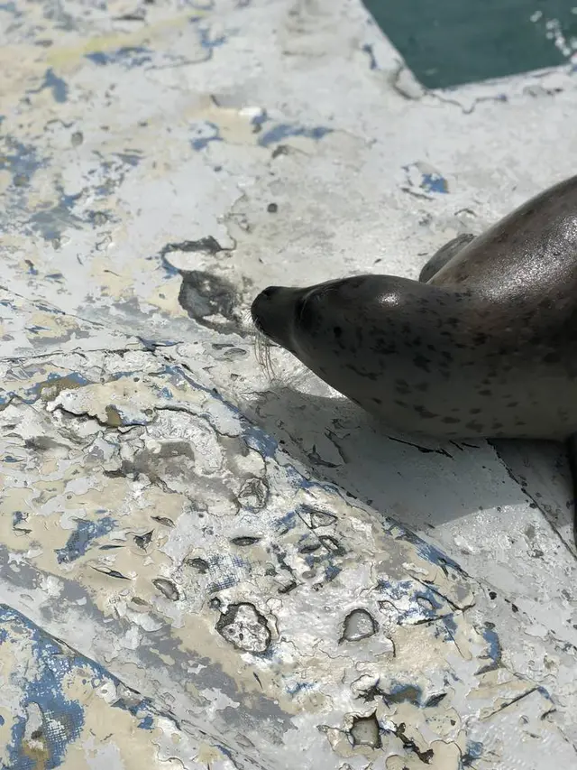 稚内市立ノシャップ寒流水族館