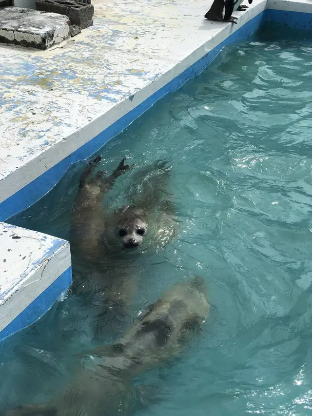 稚内市立ノシャップ寒流水族館