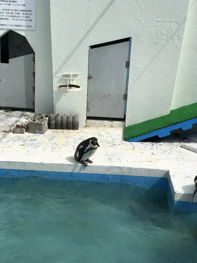 稚内市立ノシャップ寒流水族館