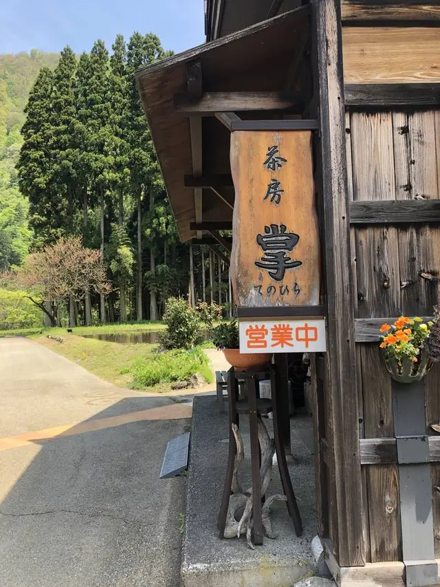掌