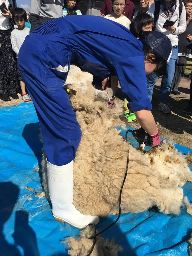 くろべ牧場まきばの風