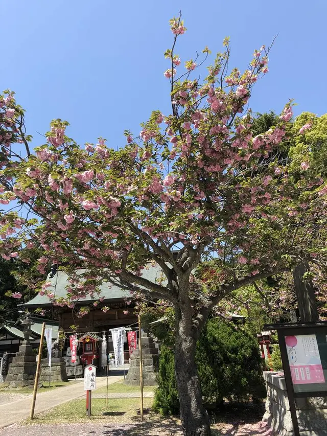 常陸第三宮 吉田神社