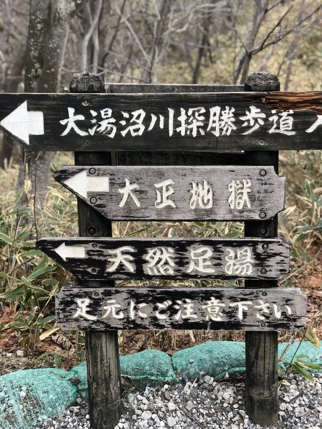 大湯沼川天然足湯