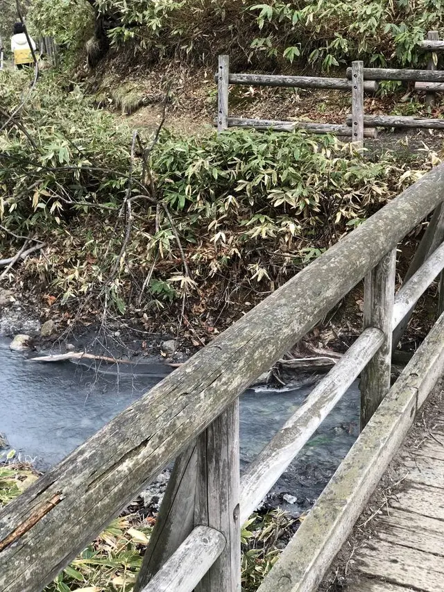 大湯沼川天然足湯