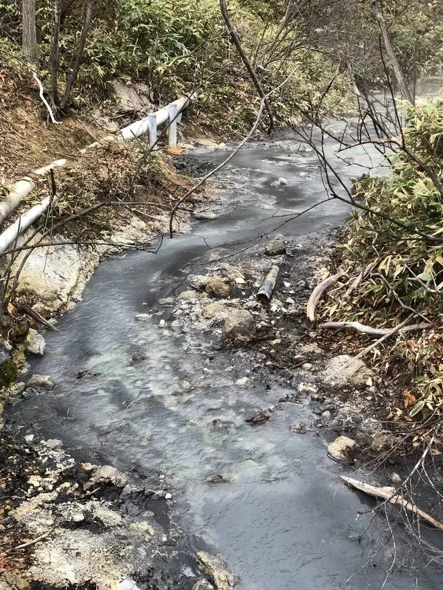 大湯沼川天然足湯