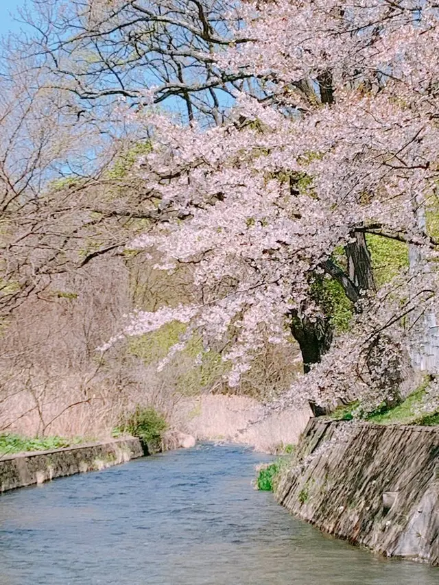 〒052-0101 北海道有珠郡壮瞥町滝之町２４７−５
