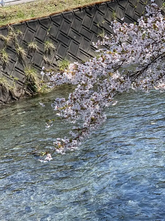 〒052-0101 北海道有珠郡壮瞥町滝之町２４７−５