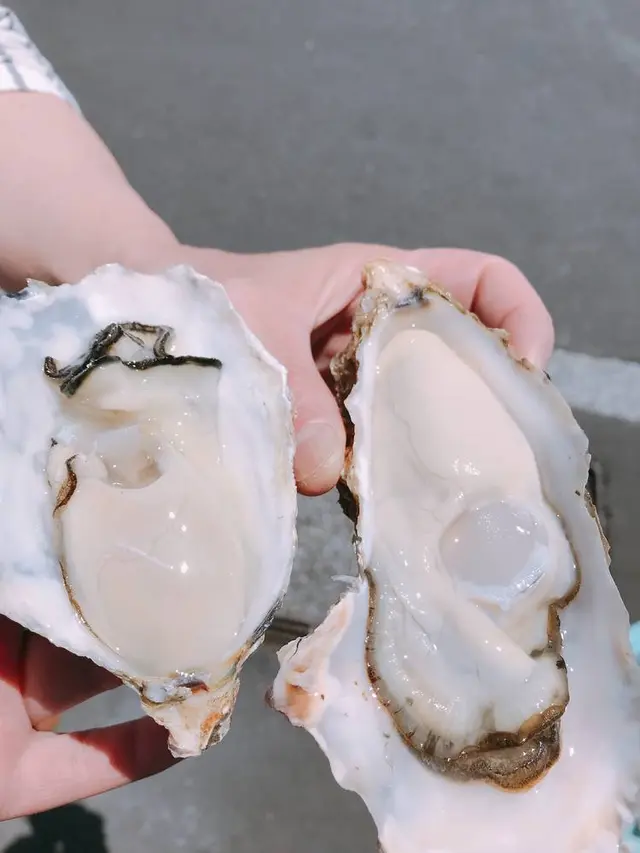 森田水産
