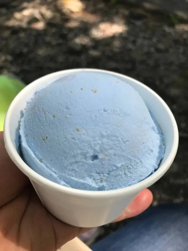 湯沢高原パノラマパーク ロープウェイ／アルプの里