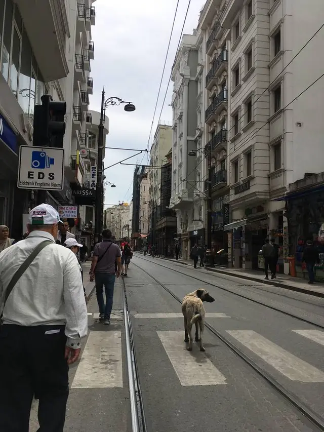 イスタンブル