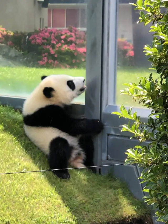 アドベンチャーワールド