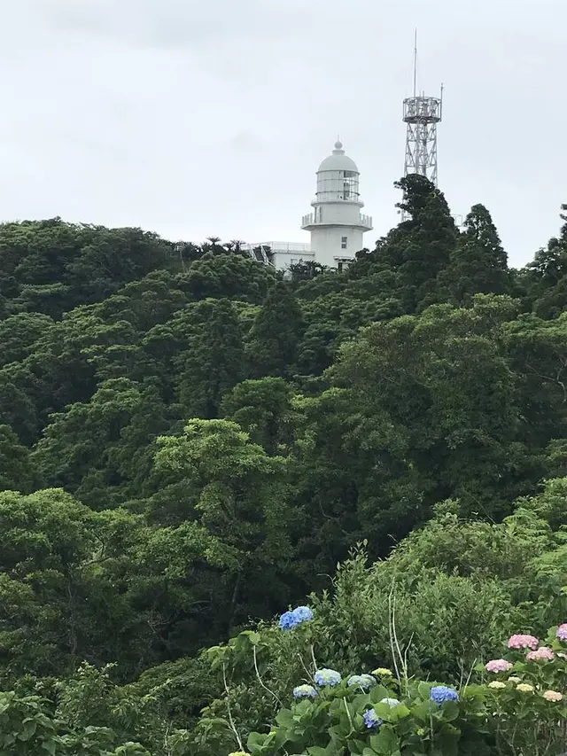 都井岬