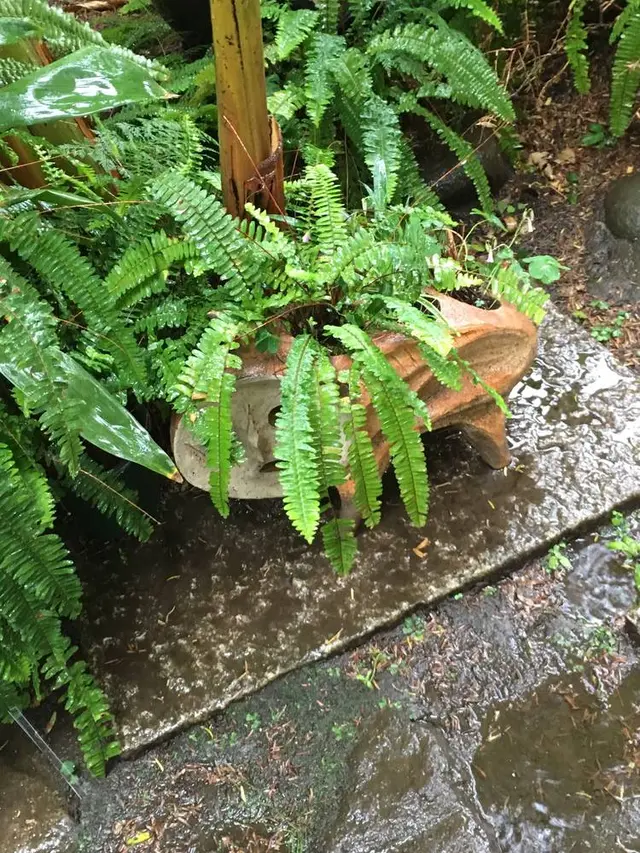 岡本太郎記念館