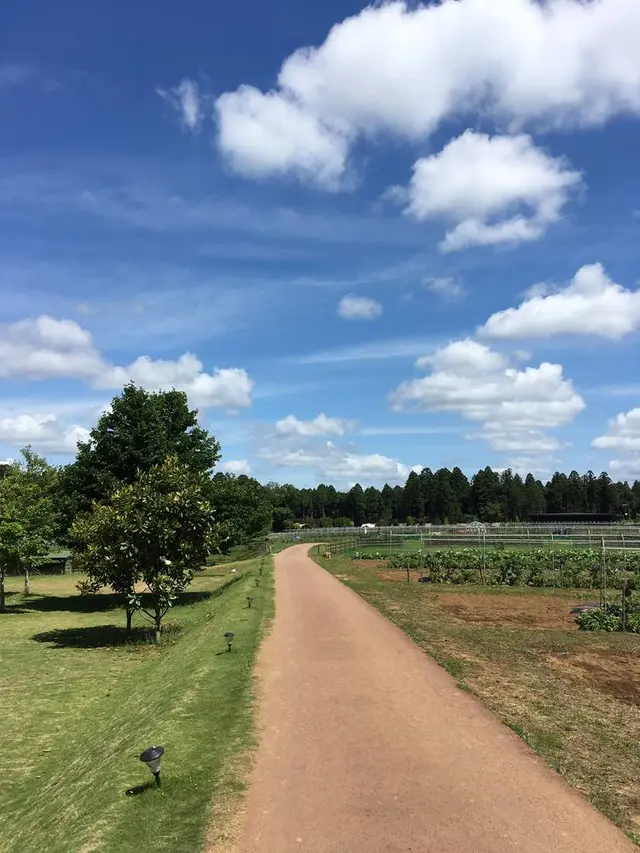 農園リゾート THE FARM