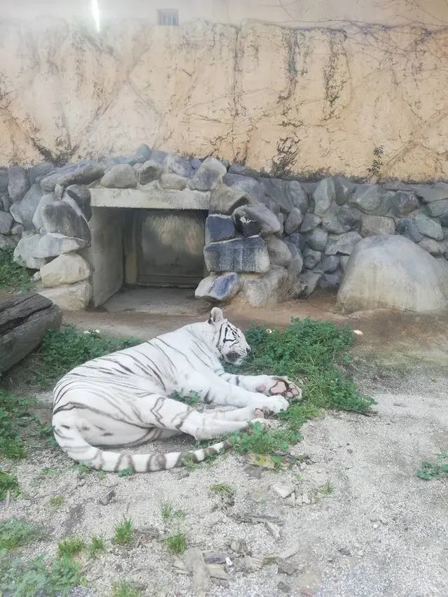東武動物公園