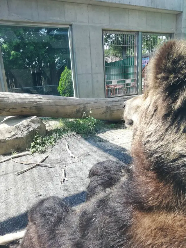 東武動物公園