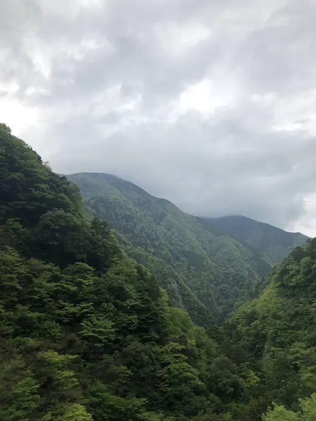 寸又峡