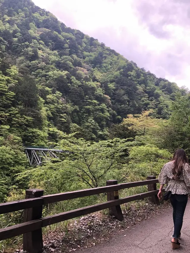 寸又峡