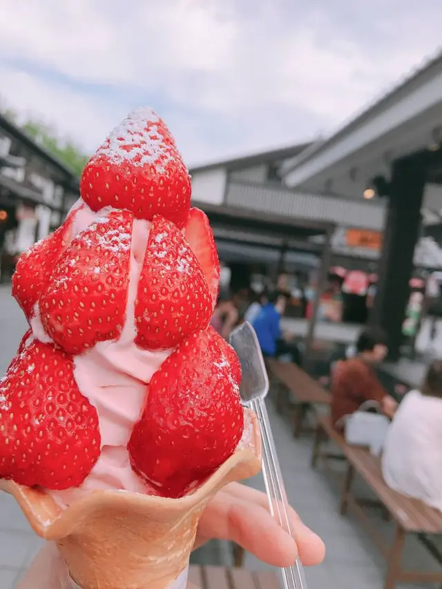桜の馬場城彩苑
