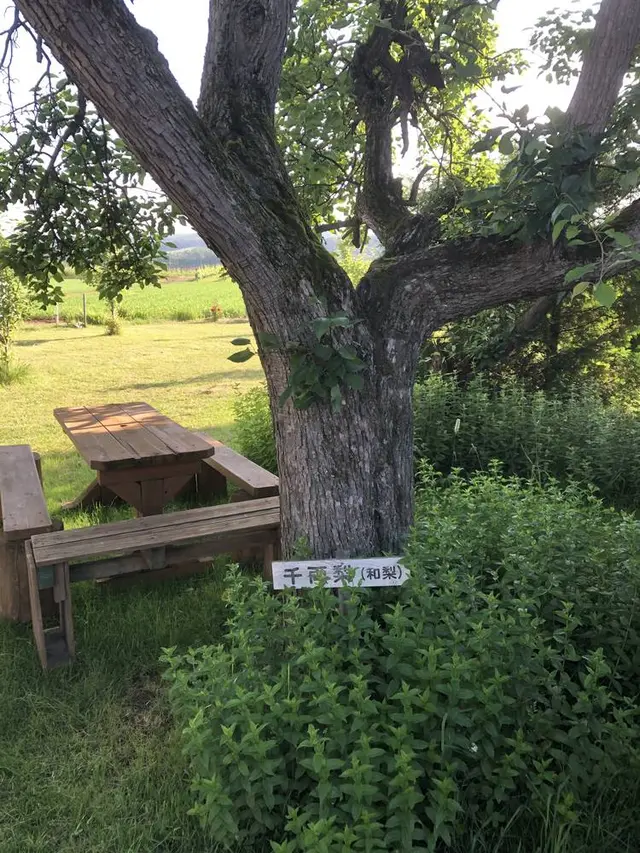 プチペンション田舎倶楽部