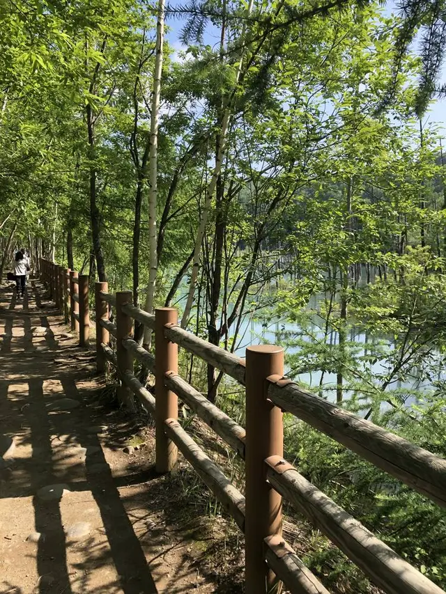 白金青い池