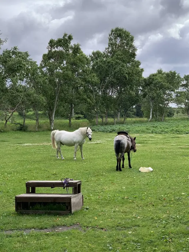 北海道箱根牧場