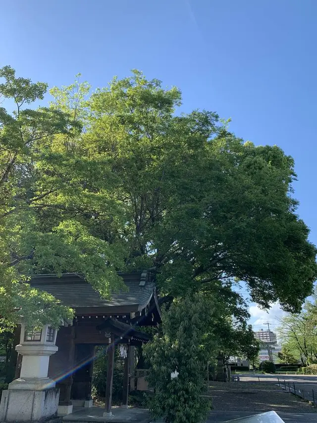 護国神社儀式殿