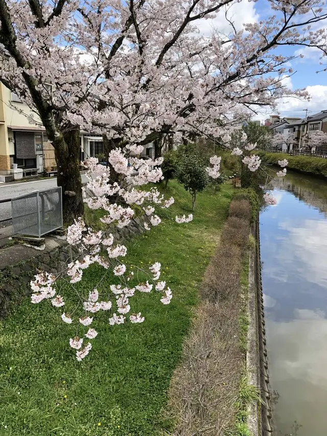 氷見市