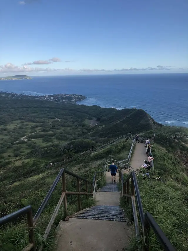 Diamond head（ダイヤモンド・ヘッド）