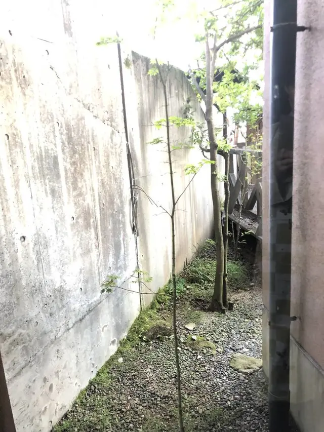 富貴温泉　富貴の森