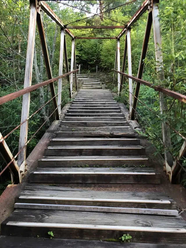 富貴温泉　富貴の森