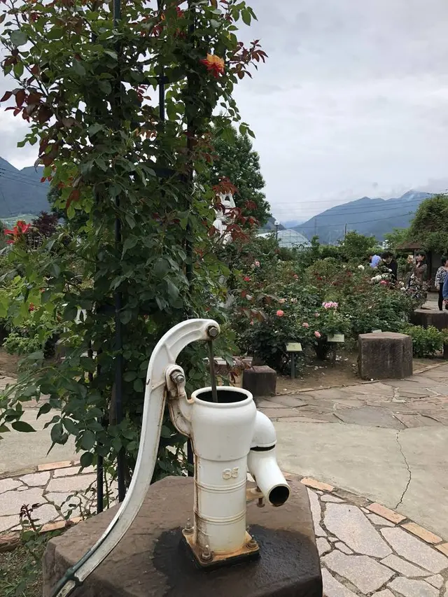 ハーブ庭園旅日記