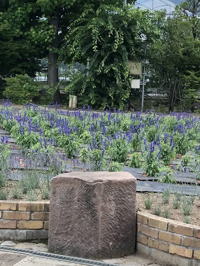 ハーブ庭園旅日記