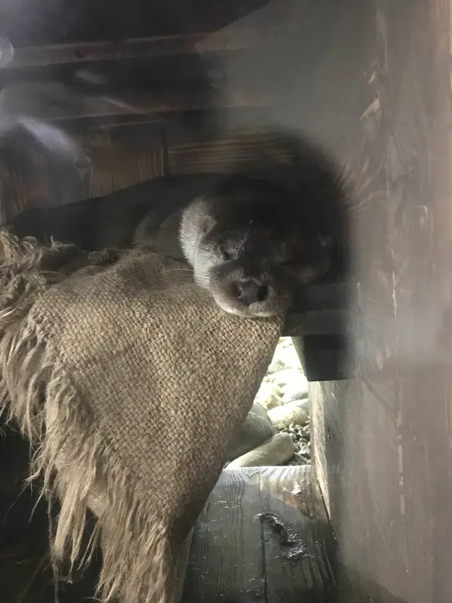 アクアマリンいなわしろカワセミ水族館