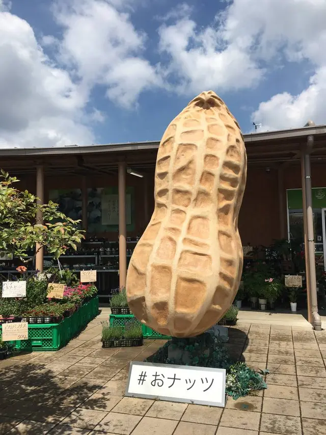 道の駅 木更津うまくたの里