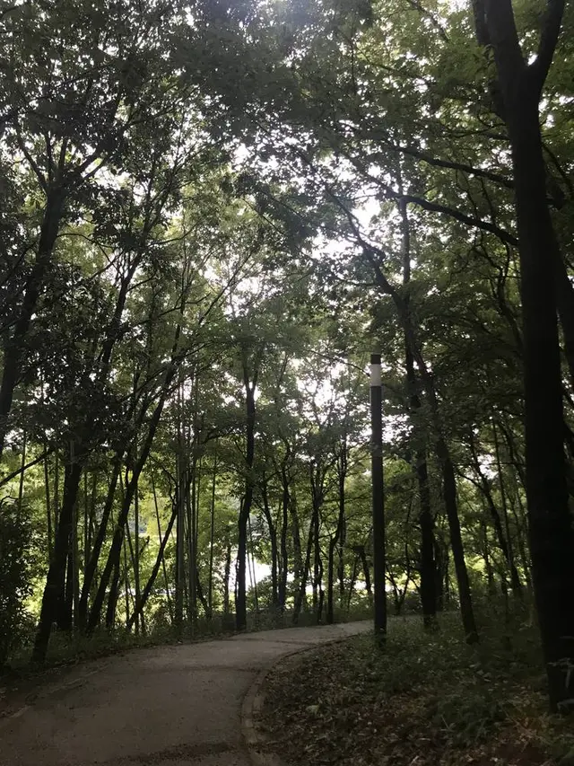 飯高山公園