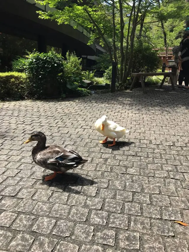 天成園