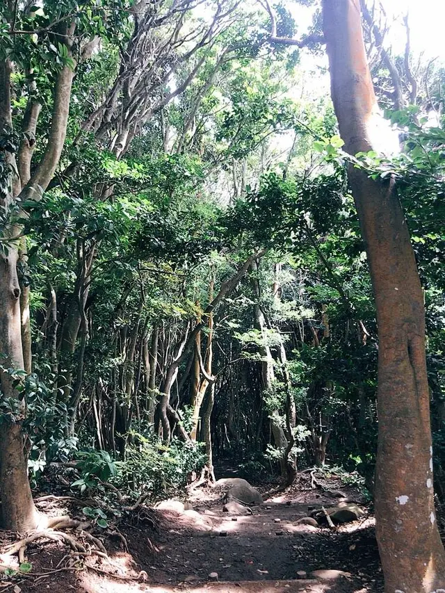 芥屋の大門公園
